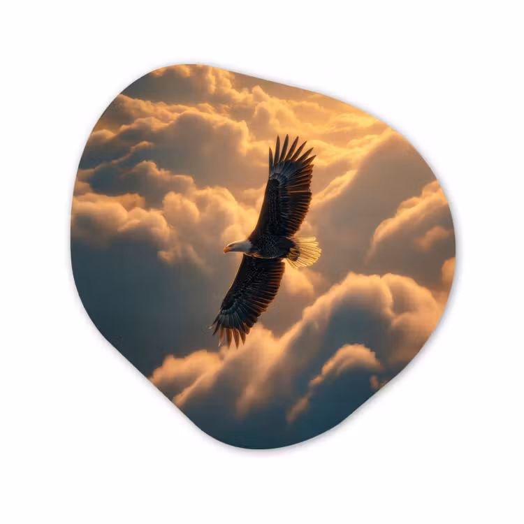 Organisch schilderij - Forex - Adelaar - Wolken - Zon — 1