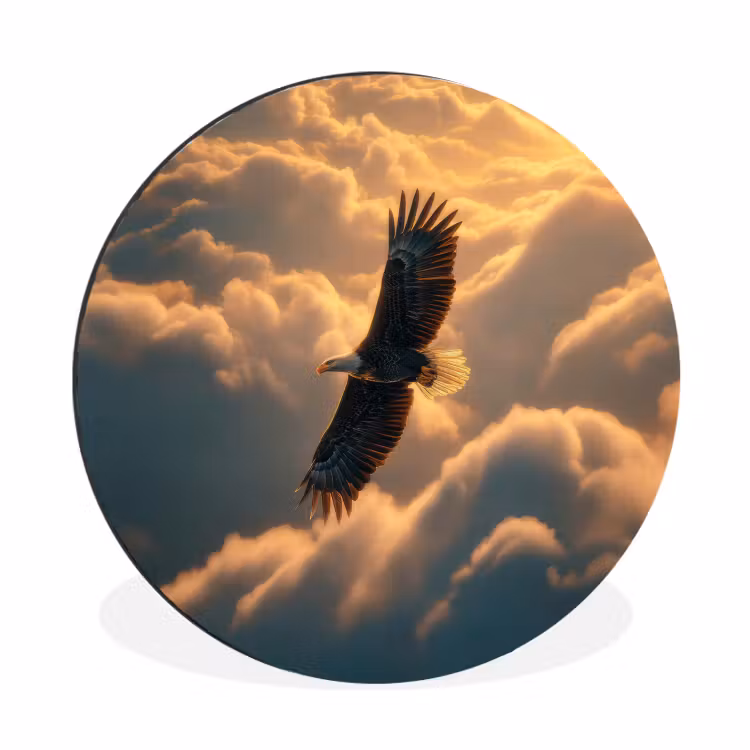 Wandcirkel - Aluminium - Amerikaanse Zeearend in Wolken