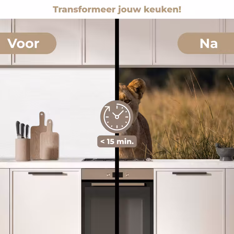 Keuken achterwand - Leeuwin in Savanne — 2