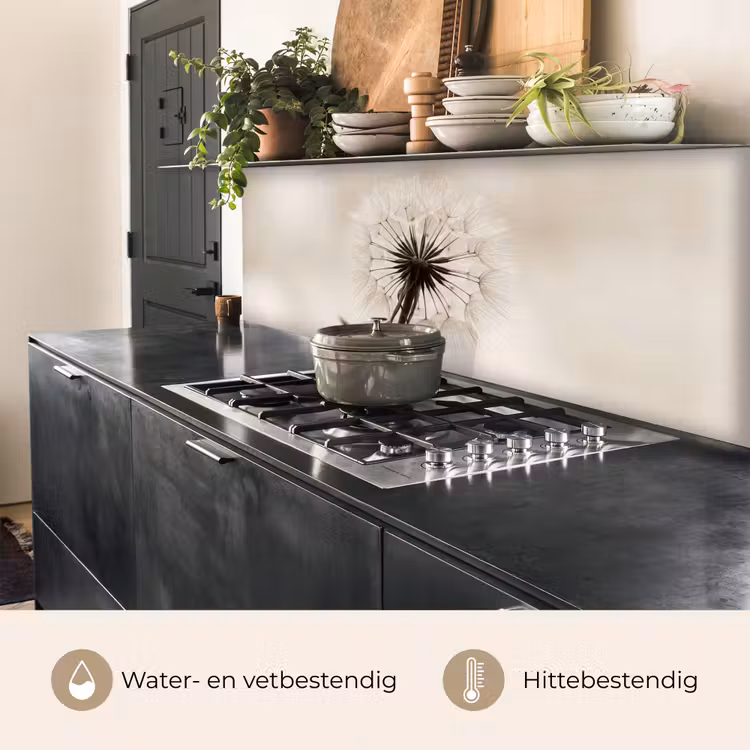 Keuken achterwand - Paardenbloem - Minimalistisch - Wit — 3