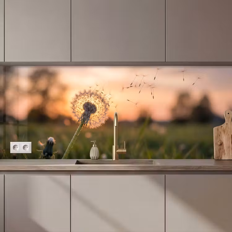 Keuken achterwand - Paardenbloem - Zonsondergang - Veld