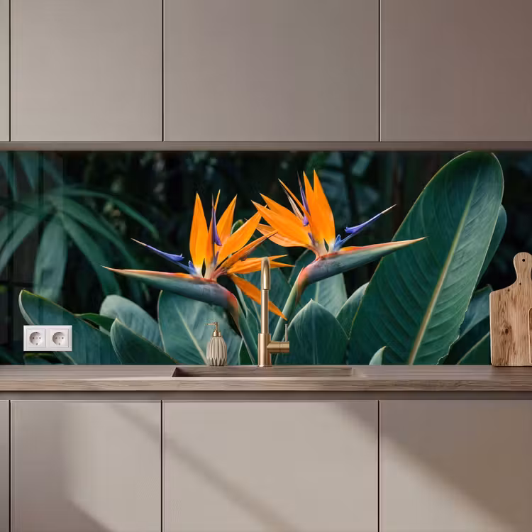 Keuken achterwand - Paradijsvogel - Bloem - Exotisch