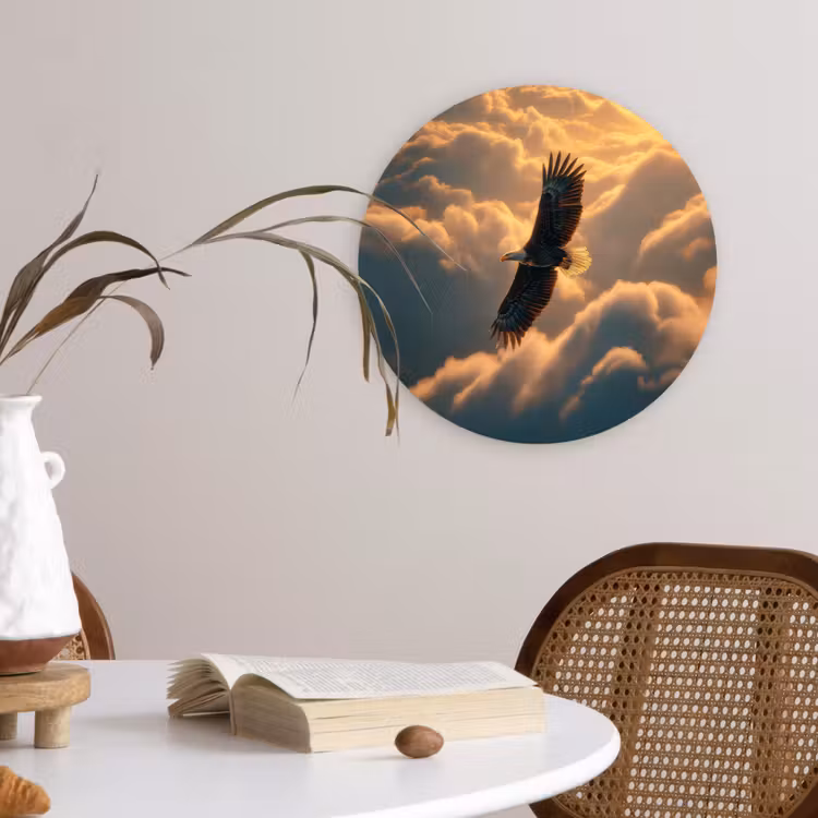 Muurcirkel - Amerikaanse Zeearend in Wolken — 4