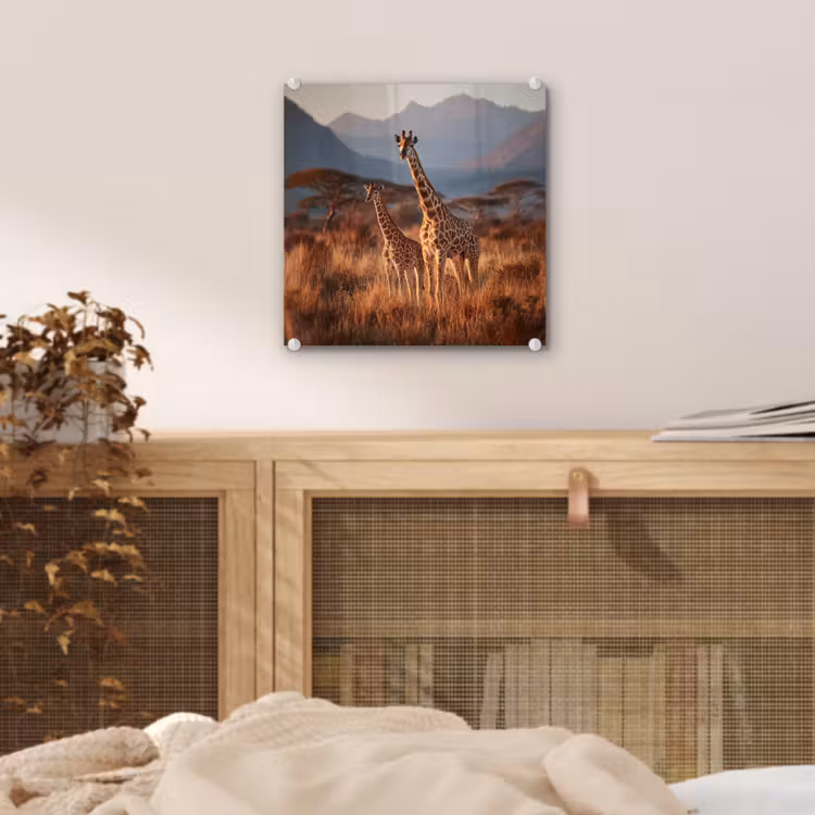 Glas schilderij - Giraffen Savanne Zonsondergang — 5