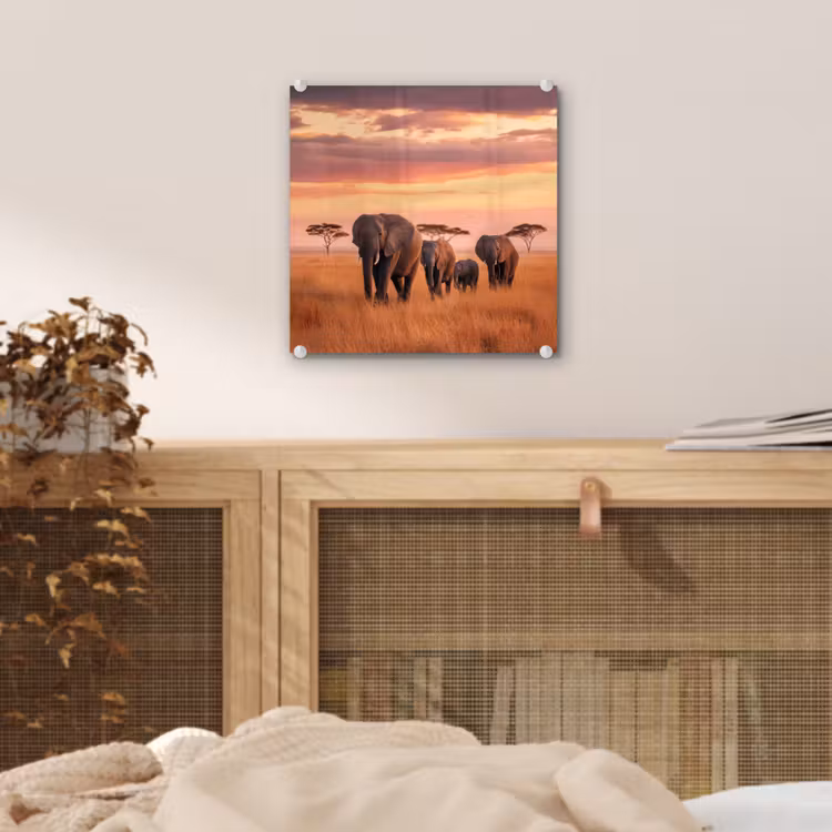 Glas schilderij - Groep olifanten - Open vlakte - Zon — 5