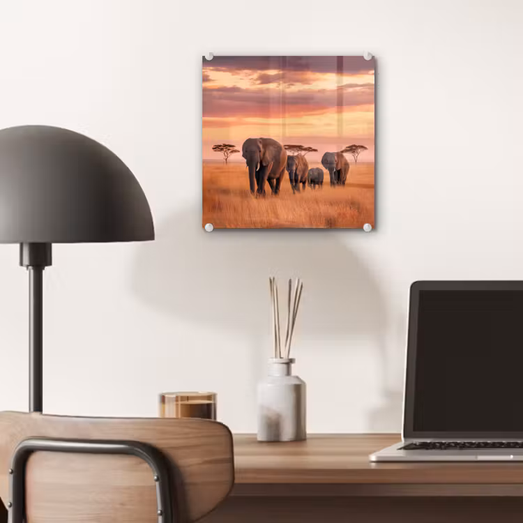 Glas schilderij - Groep olifanten - Open vlakte - Zon — 7