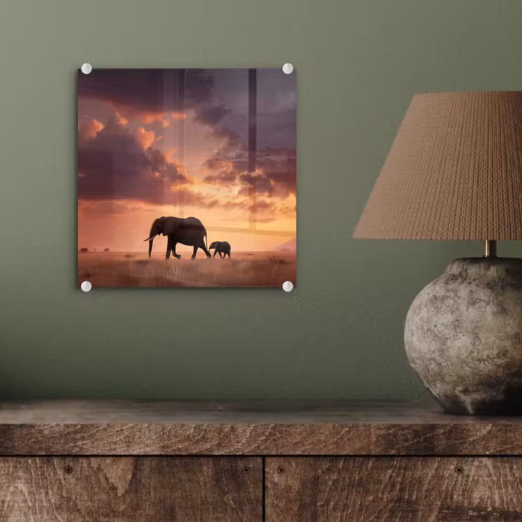Glas schilderij - Olifanten - Grasland - Zonsondergang — 4