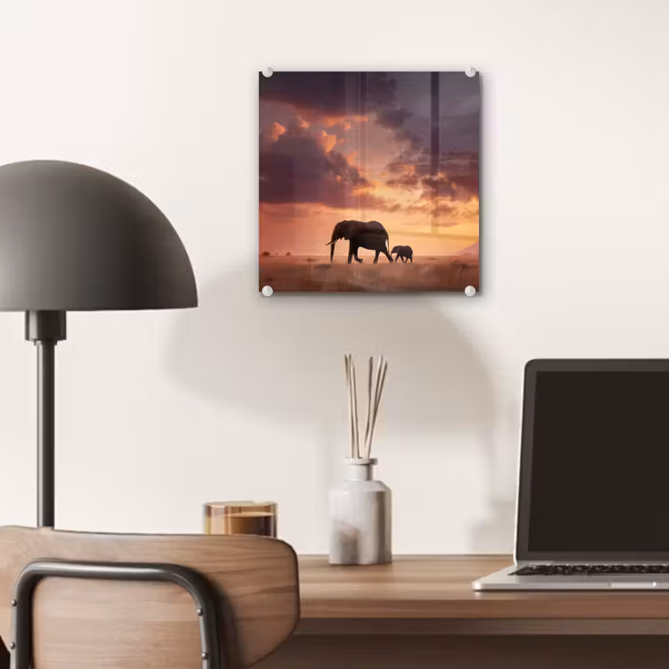 Glas schilderij - Olifanten - Grasland - Zonsondergang — 7