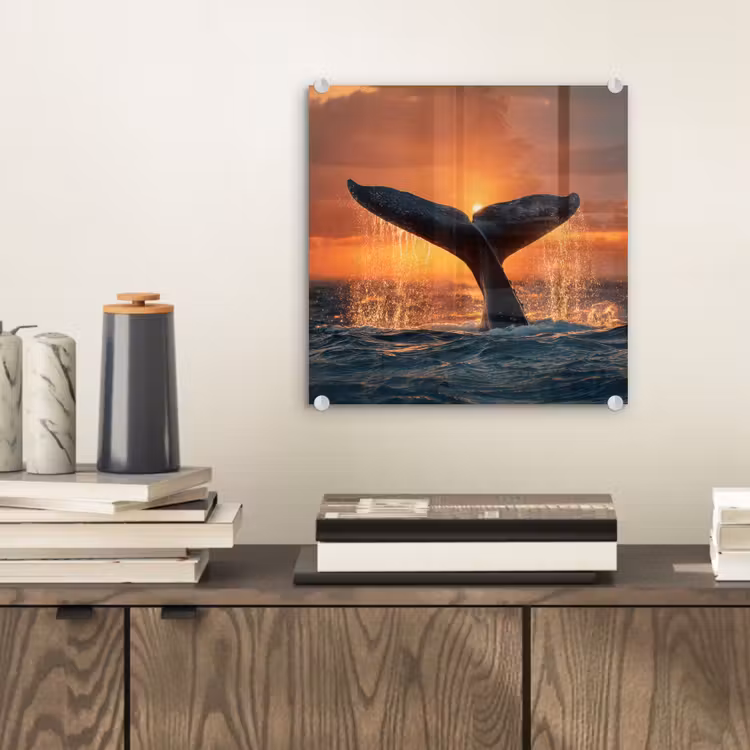 Glas schilderij - Walvisstaart Zonsondergang Oceaan — 2