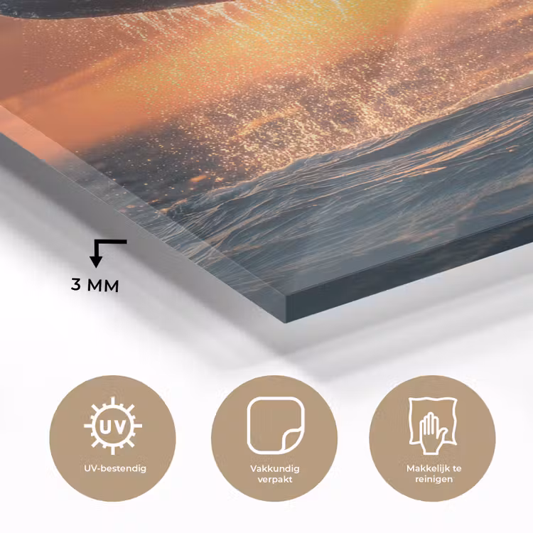 Glas schilderij - Walvisstaart Zonsondergang Oceaan — 3