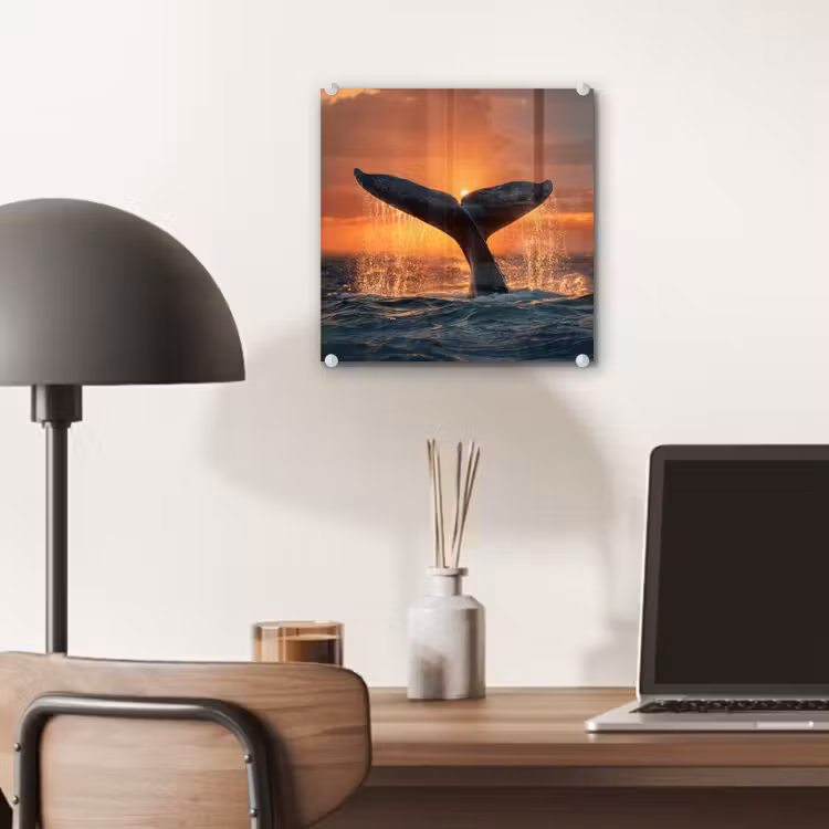 Glas schilderij - Walvisstaart Zonsondergang Oceaan — 7