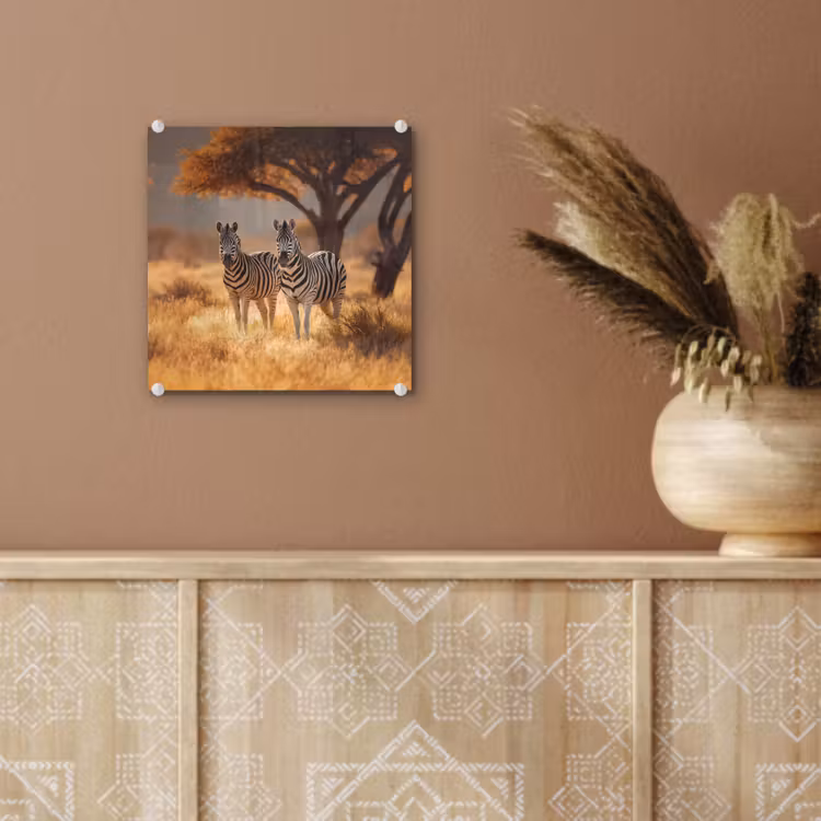Glas schilderij - Zebra's Savanne Acaciaboom — 6