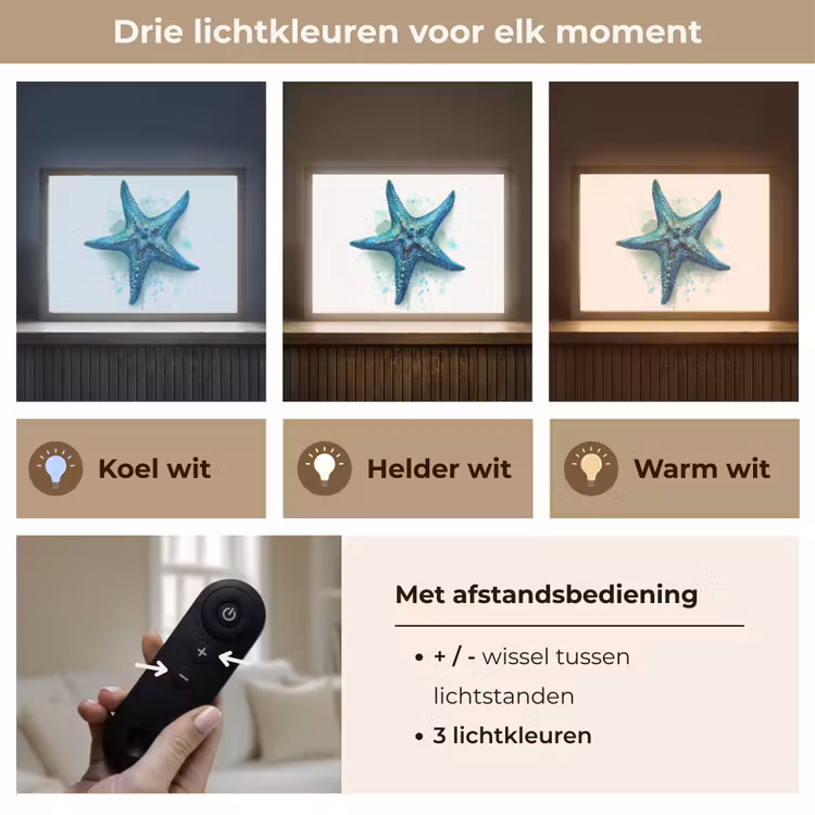 Lightbox - Wandlamp kinderkamer - Zeester - Blauw - Spetters — 8