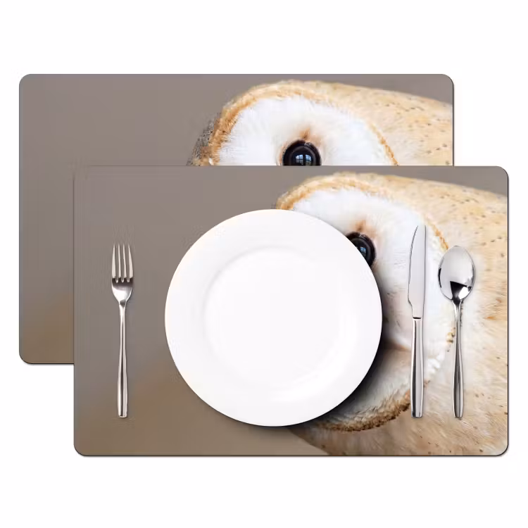 Placemat - 6 stuks - Uil - Bruin - Wit — 2