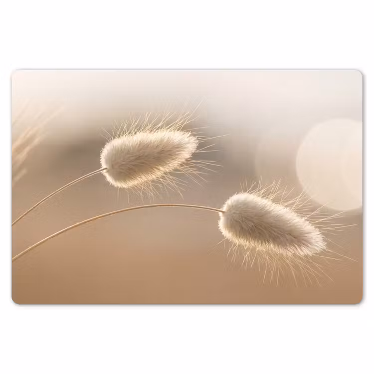 Placemat - 6 stuks - Hazestaartgras - Graanharen - Zonlicht — 7