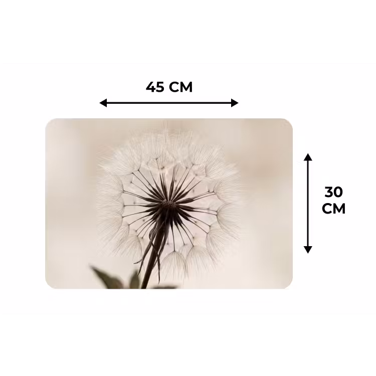 Placemat - 6 stuks - Paardenbloem - Minimalistisch - Wit — 3