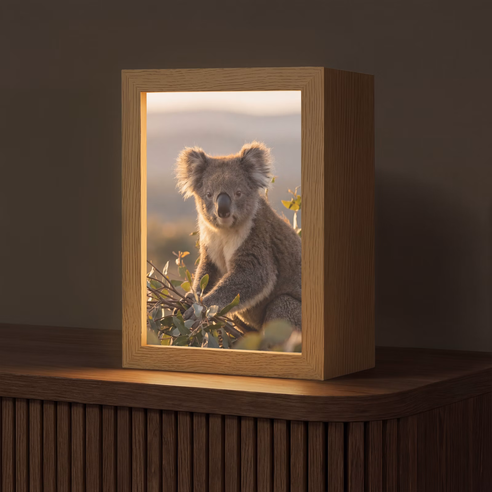 Tafellamp - Koala Eucalyptus Zonsondergang — 1