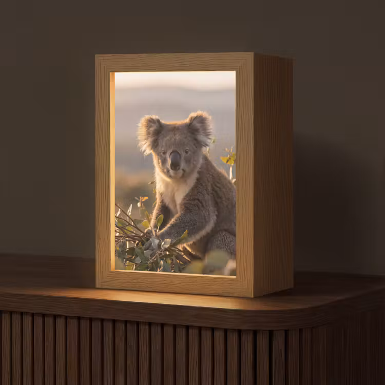 Tafellamp - Koala Eucalyptus Zonsondergang — 1