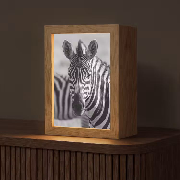 Tafellamp - Zebra Kudde Zwart Wit