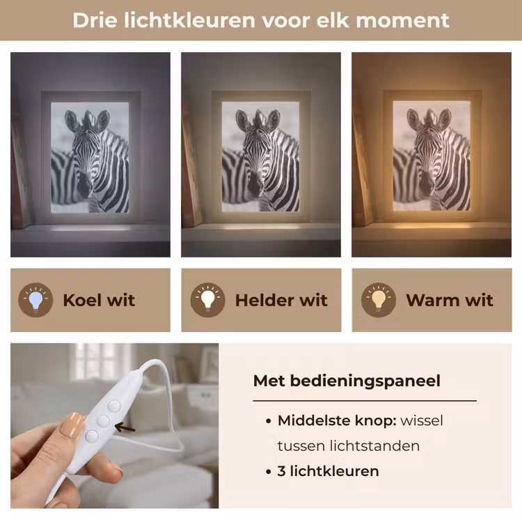 Tafellamp - Zebra Kudde Zwart Wit — 6