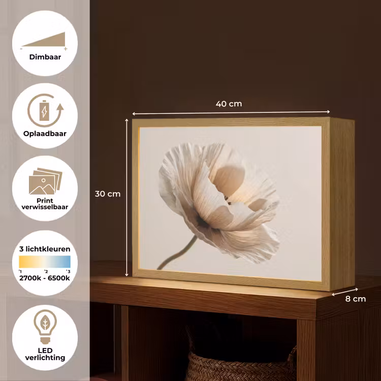 Lightbox - Wandlamp - Bloem - Beige - Crème — 10