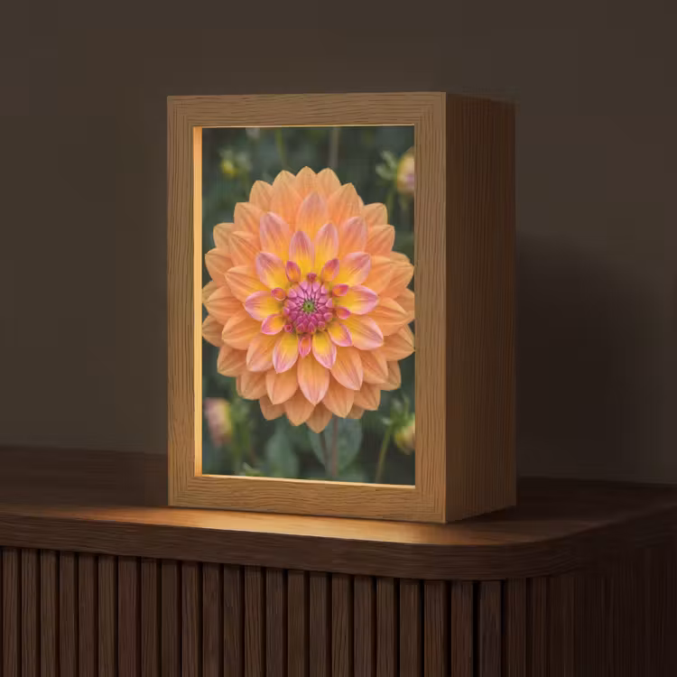 Tafellamp - Dahlia - Bloem - Oranje — 1