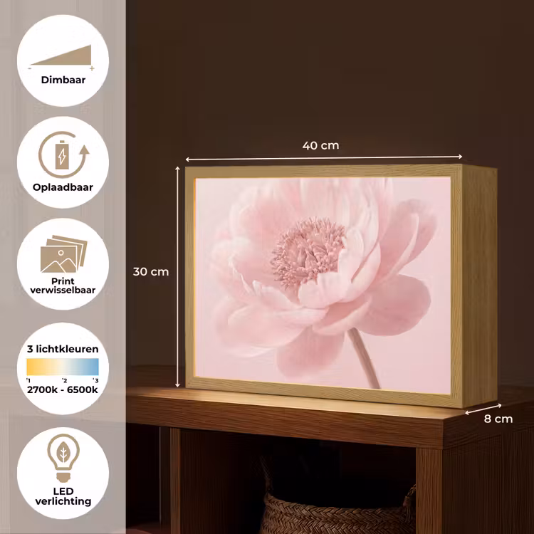 Lightbox - Wandlamp - Bloem - Pioenroos - Roze — 10