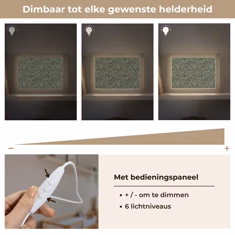Lightbox - Wandlamp - Bladeren - Organisch - Groen — 8