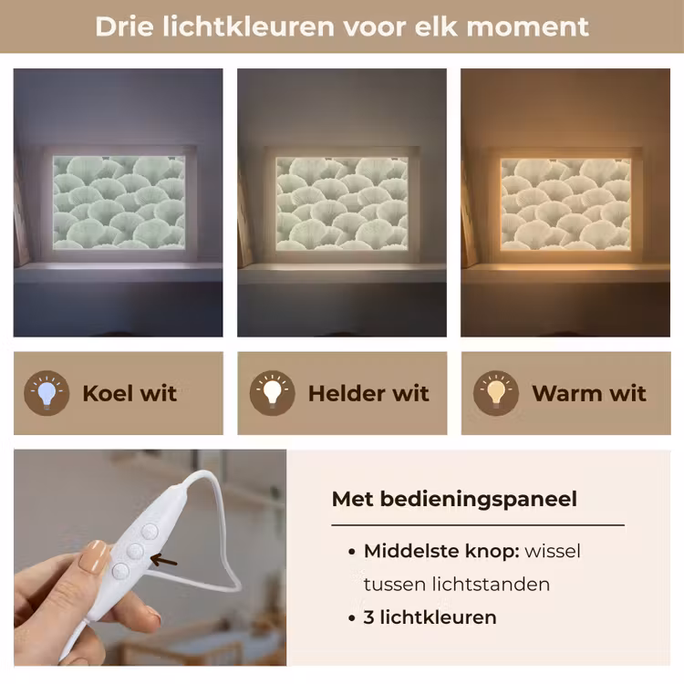 Lightbox - Wandlamp - Waaier - Blad - Groen — 7