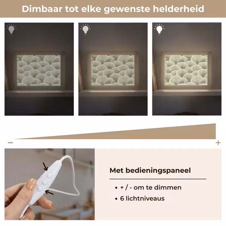 Lightbox - Wandlamp - Waaier - Blad - Groen — 8
