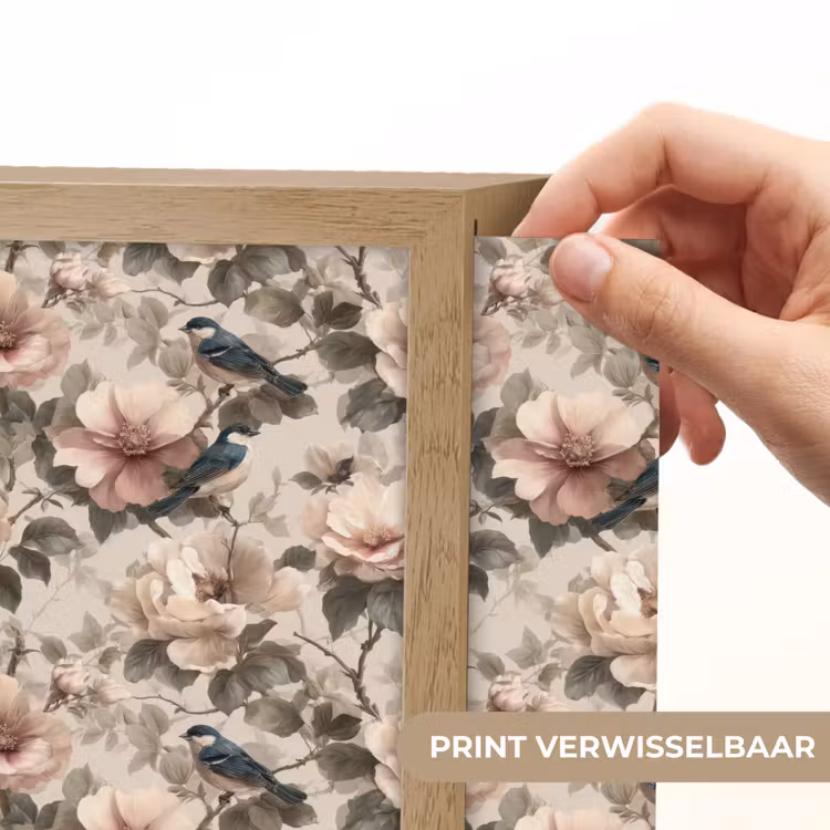Lightbox - Wandlamp - Klassiek - Vogels - Kleurrijk — 6
