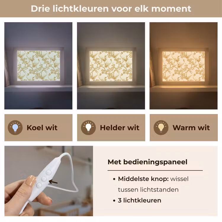 Lightbox - Wandlamp - Kraanvogels - Kersenbloesem - Goud — 7