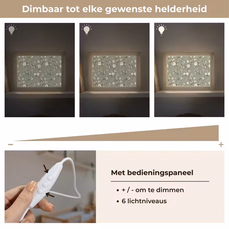 Lightbox - Wandlamp - Botanisch - Vogels - Groen — 8