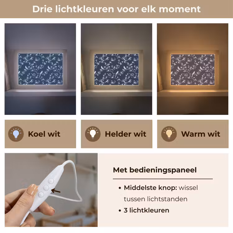 Lightbox - Wandlamp - Grafisch - Bloesemtak - Blauw — 7