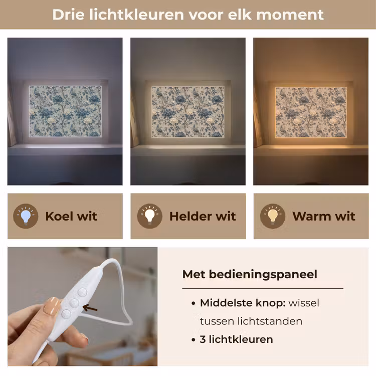 Lightbox - Wandlamp - Pauw - Bloemen - Blauw — 7