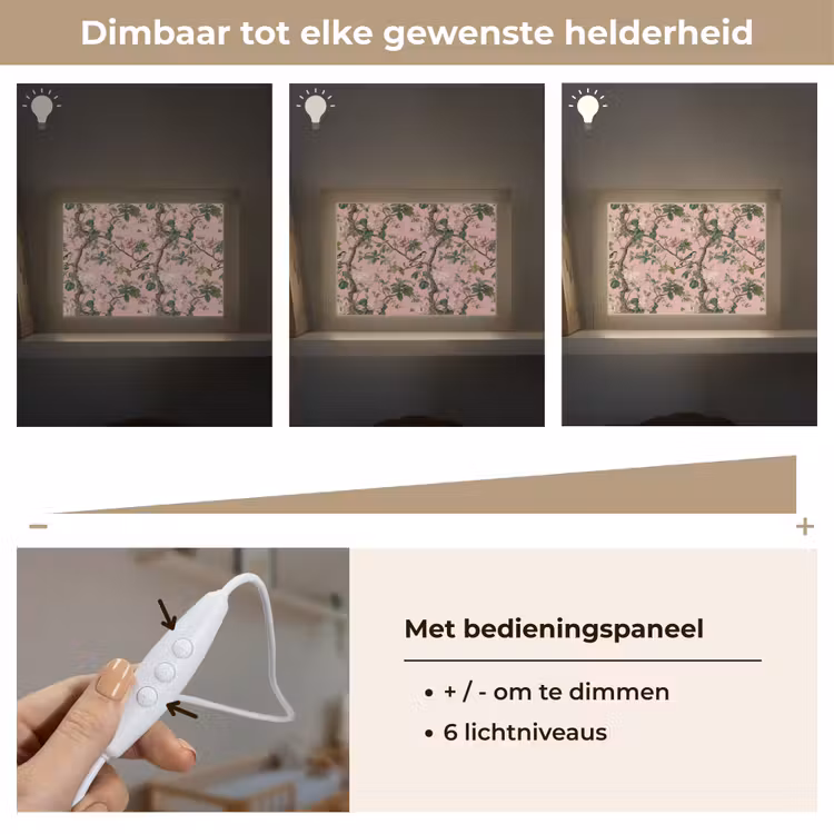 Lightbox - Wandlamp - Pioenrozen - Botanisch - Vogel — 8