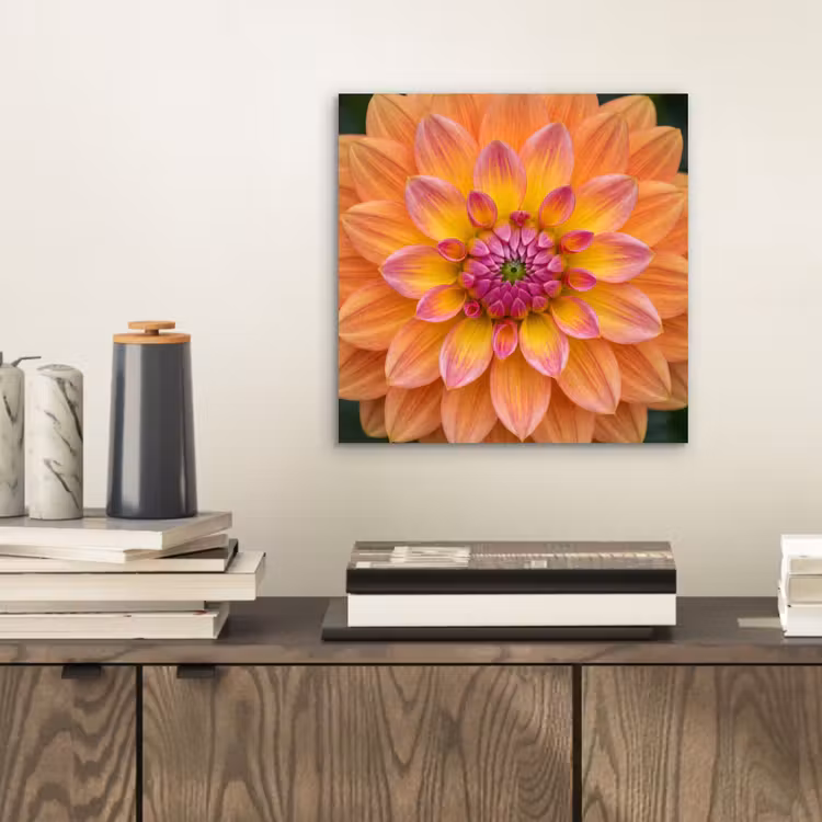 Aluminium schilderij - Dahlia - Bloem - Oranje — 2