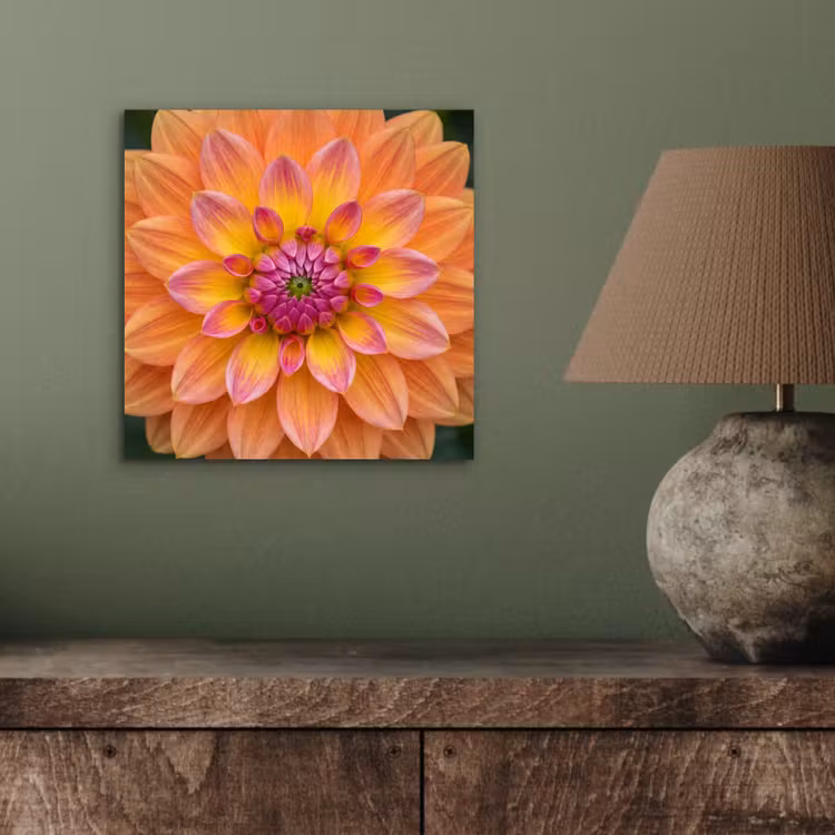 Aluminium schilderij - Dahlia - Bloem - Oranje — 3