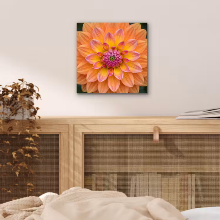Aluminium schilderij - Dahlia - Bloem - Oranje — 4