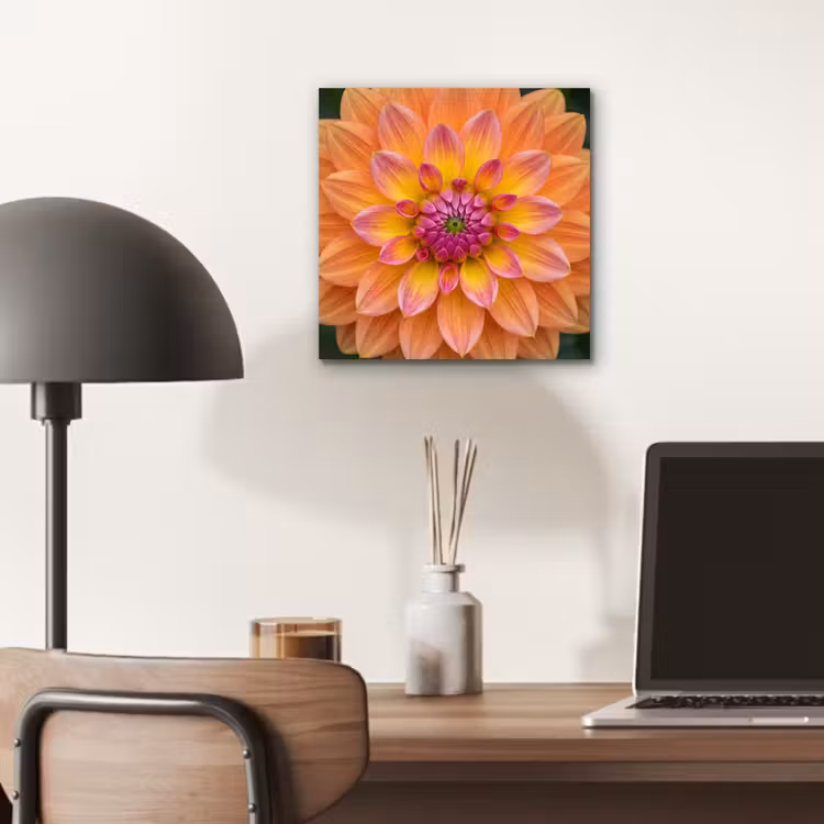 Aluminium schilderij - Dahlia - Bloem - Oranje — 6