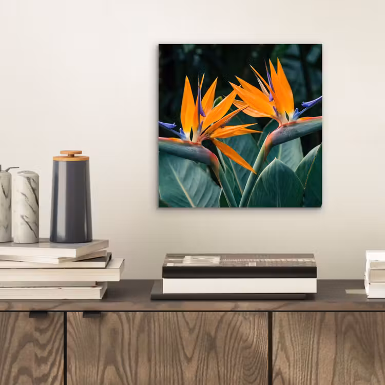 Aluminium schilderij - Paradijsvogel - Bloem - Exotisch — 2