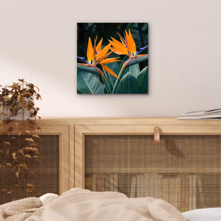 Aluminium schilderij - Paradijsvogel - Bloem - Exotisch — 4