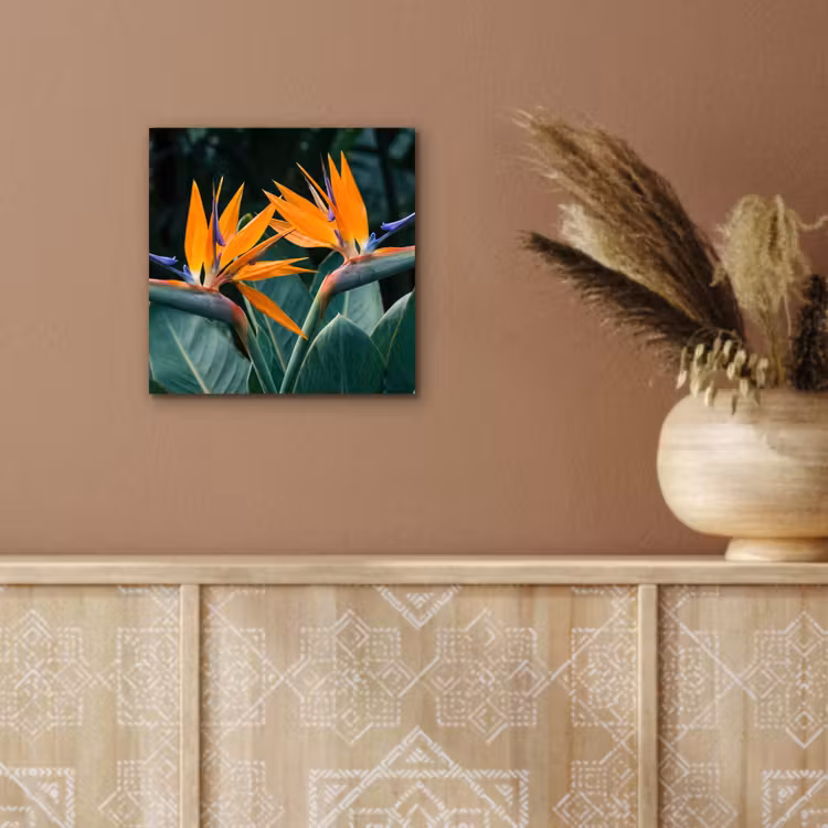 Aluminium schilderij - Paradijsvogel - Bloem - Exotisch — 5
