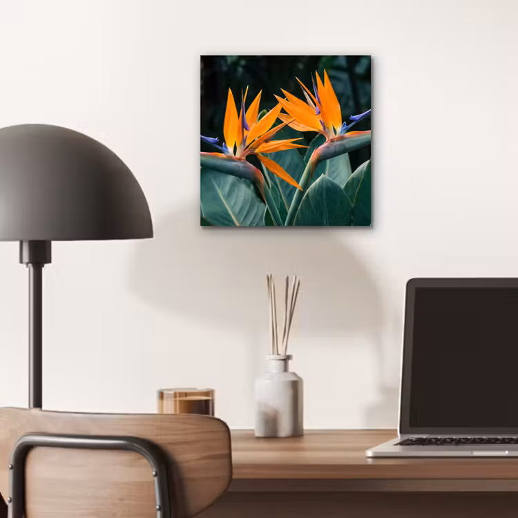Aluminium schilderij - Paradijsvogel - Bloem - Exotisch — 6