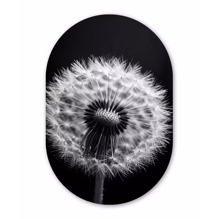 Muurovaal aluminium - Paardenbloem - Zwart - Wit