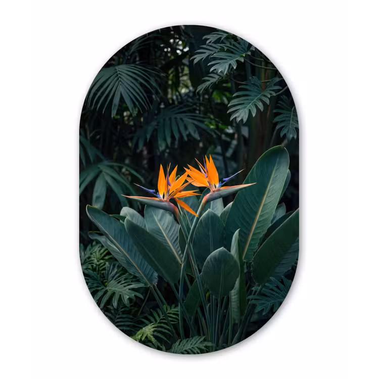 Muurovaal aluminium - Paradijsvogel - Bloem - Exotisch