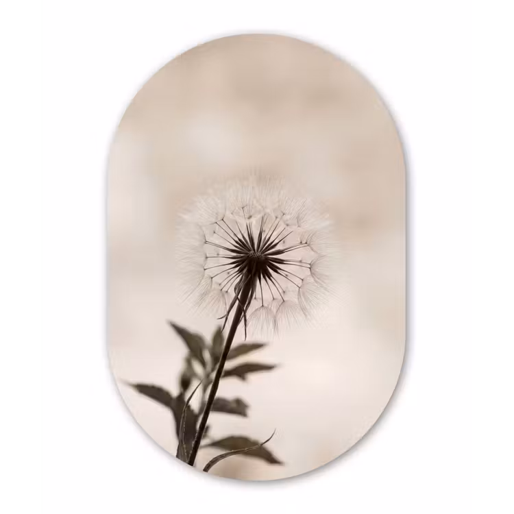 Muurovaal - Kunststof - Paardenbloem - Minimalistisch - Wit — 3