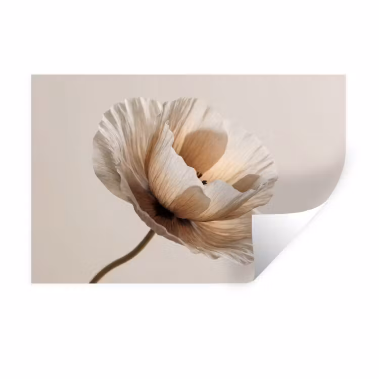 Muursticker - Bloem - Beige - Crème