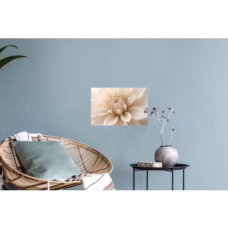Muursticker - Bloem - Dahlia - Wit — 4