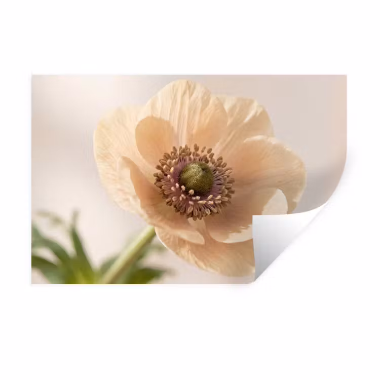 Muursticker - Bloem - Minimalistisch - Groen